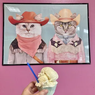 My cheesecake ice cream and two cats with cowboy hats!