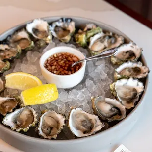 a platter of fresh oysters