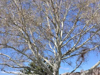 Harrison Hills Mobile Home Park