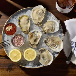 Oysters