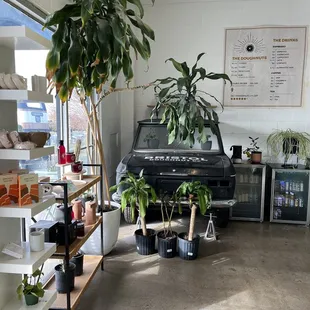 a coffee shop with a coffee machine and potted plants