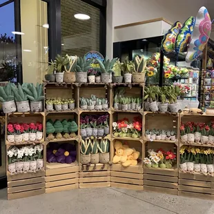 Omg how adorable are these plant plush by JELLYCAT 08.09.22