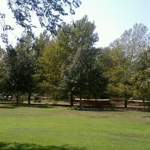 Shady picnic area