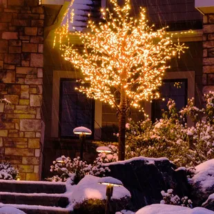 Brite Ideas Decorating