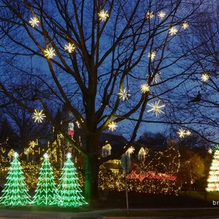 Brite Ideas Decorating