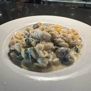 Truffle Mascarpone Pasta