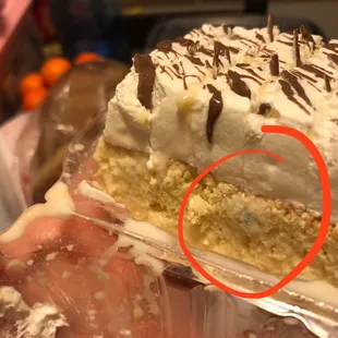 Moldy tres leches cake