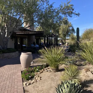 Patio dining