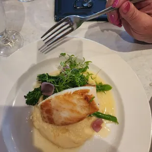 Sea Bass