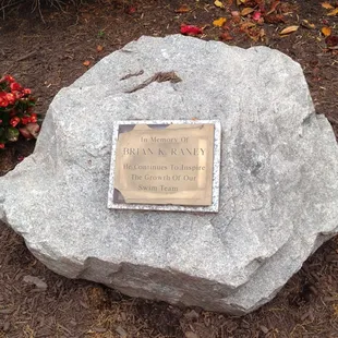 In memory of Brian K. Raney &quot;He continues to inspire the growth of our swim team&quot;