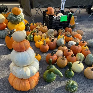 a pile of pumpkins