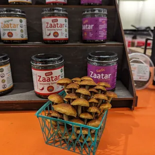 A lovely Zaatar display from Apricot Sun with some local mushrooms.