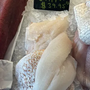 Hog Snapper .. Sexiest Fish Award. no Blood Lines. spear Caught... Flavor Nutty and Buttery