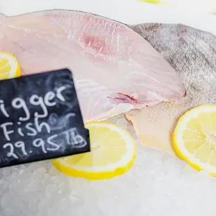 Dayboat line-caught Trigger