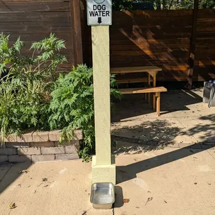Dog friendly patio! On a hot day, the owner even added ice for our pup.