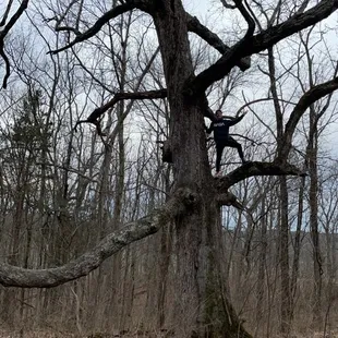 Broad Run Park