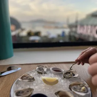 Oysters with a view