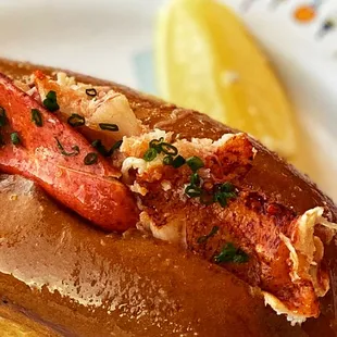 Lobster roll with butter