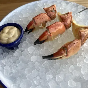 Stone Crab
