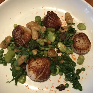 Sea Scallops