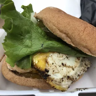 Grilled Chicken Burger