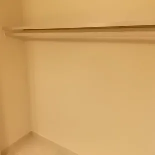 Master Bathroom Closet