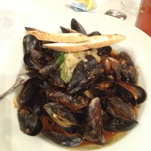 Amazing Mussels