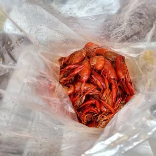 Crawfish