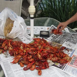 mmm...freshly boiled crawfish!