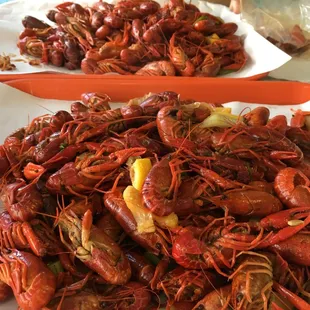4 pounds of boiled crawfish in all its glory
