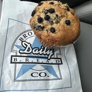 Blueberry  Muffin