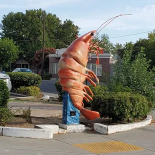 Shrimp outside the trailer