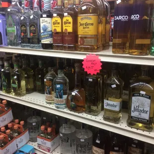 drink