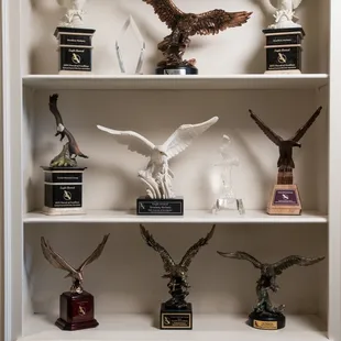 National Funeral Directors Associations' Pursuit of Excellence Award - Recognizing top 2% of Funeral Homes in the Nation - 14x Recipient!