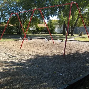 Swings