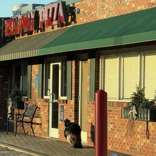 Turkey standing in front of Broadway Pizza in Richfield