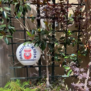 Daruma Kiosk serves Izakaya snack on Saturdays