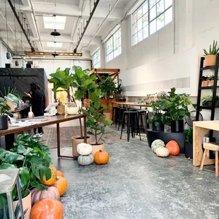 interior