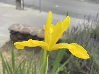 Vintage Berkeley