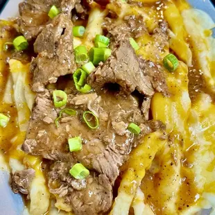 Special Debris Fries...