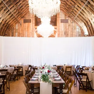 Shelley Elena Photography