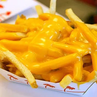 cheese fries in a paper container