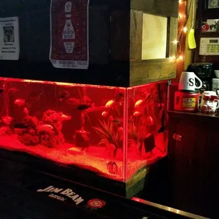 This place 9s filled with regulars.