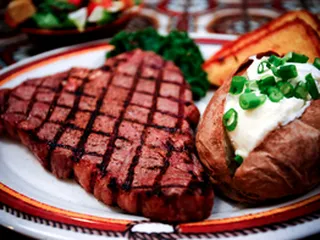 Texas Cattle
