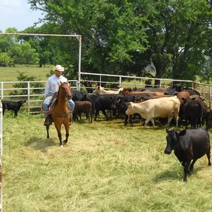 Sorting the mommas from the babies for awhile.