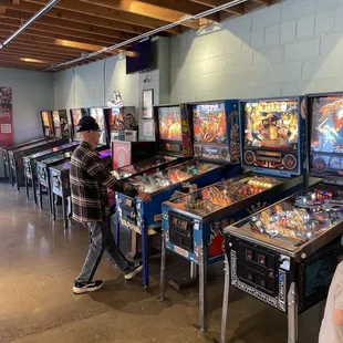 Pinball Lizard!