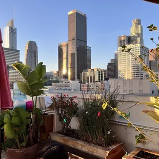 View from restaurant