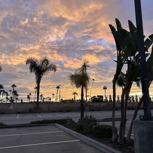 Beautiful view from the parking lot prior to opening.