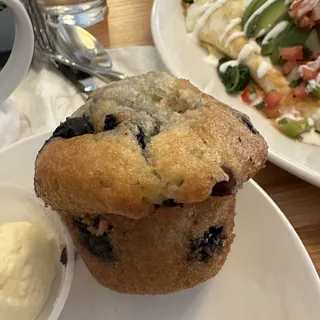 Blueberry Muffin