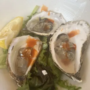 Raw oysters!